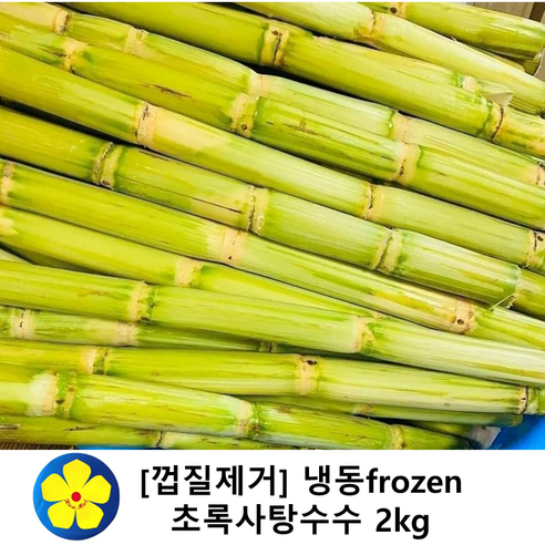 초록사탕수수 스틱 베트남산